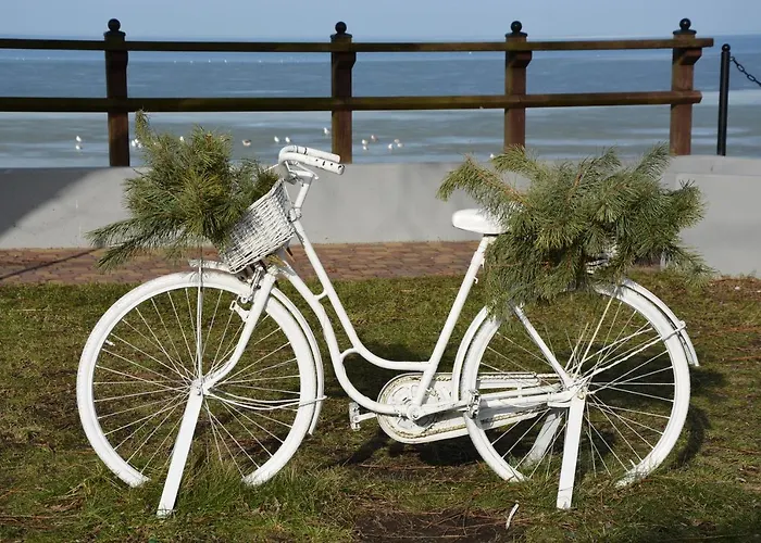 Davia 홈스테이 레바