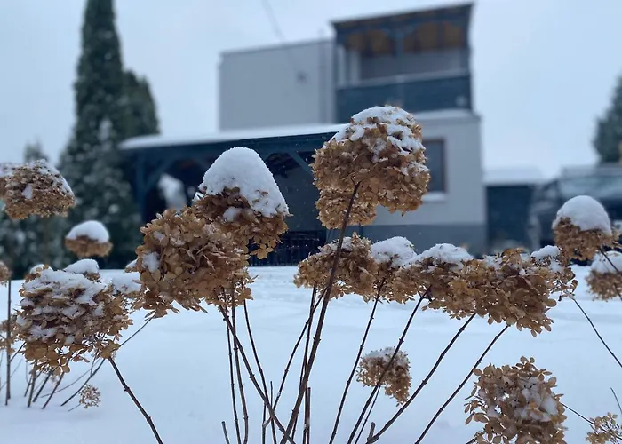 منزل للإقامة Davia