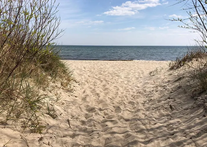 Davia 홈스테이 레바